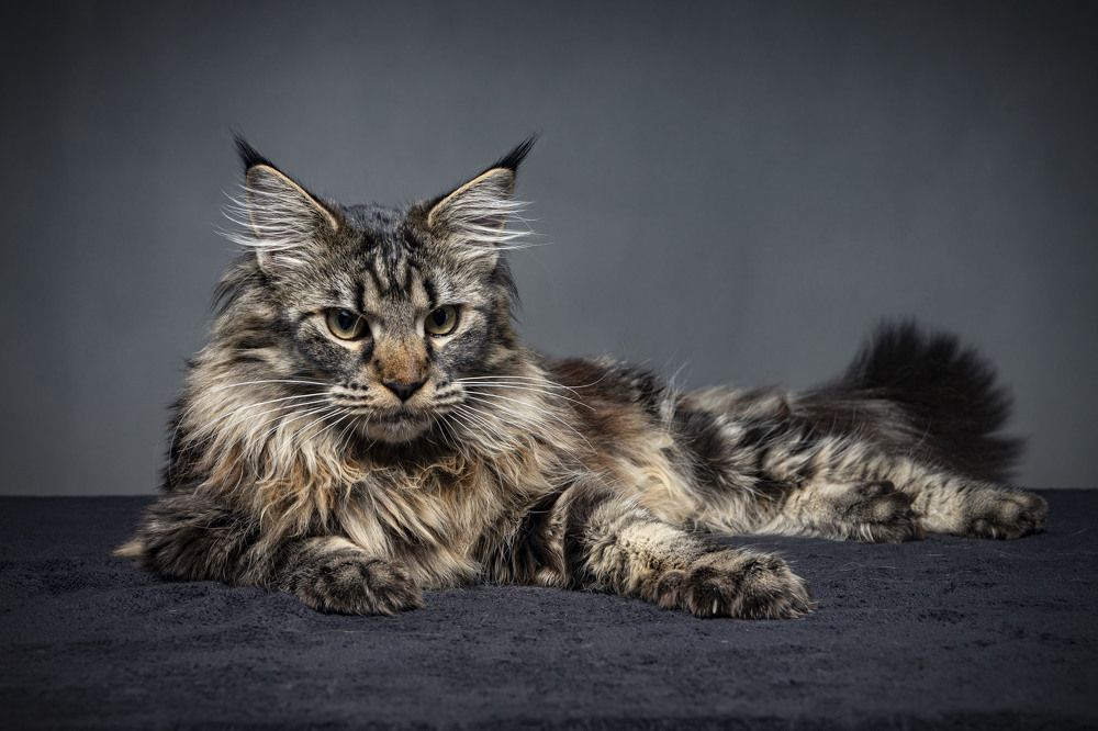 Photograph by Сергей Чупахин