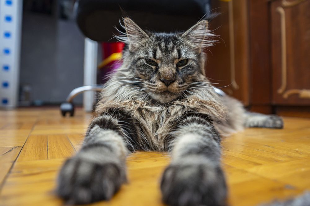 Photograph by Сергей Чупахин