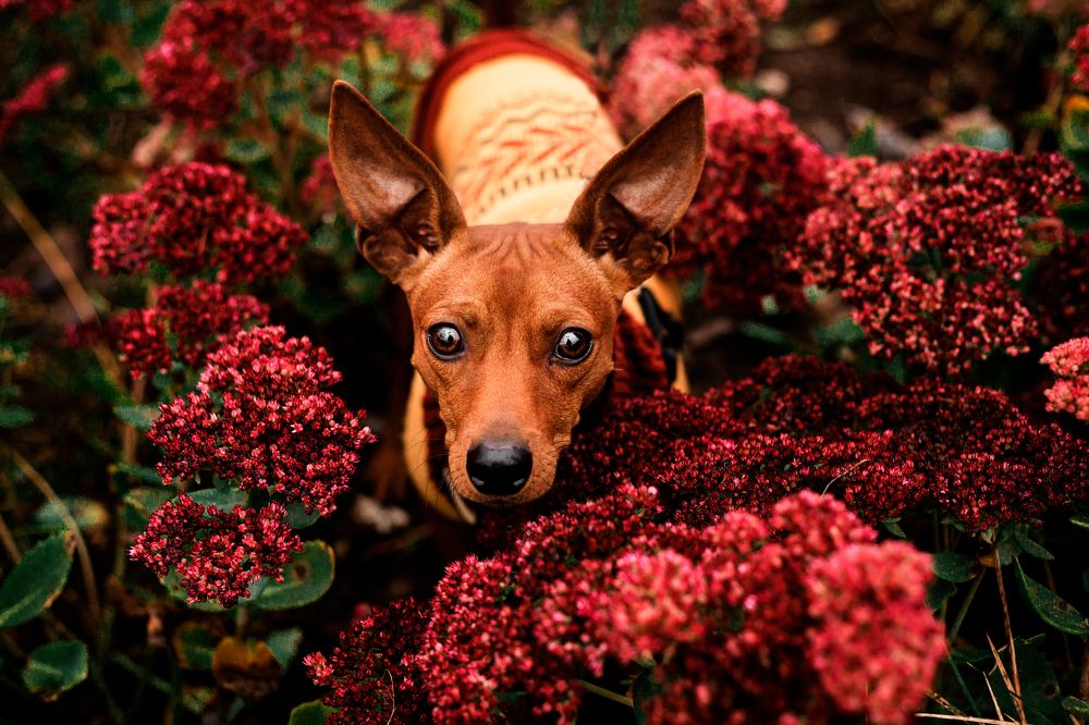 Photograph by Татьяна Степанова