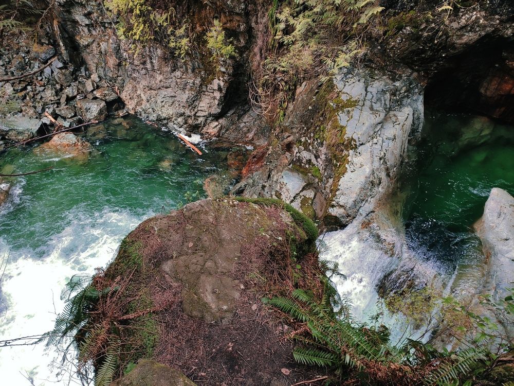 Photo #7507715