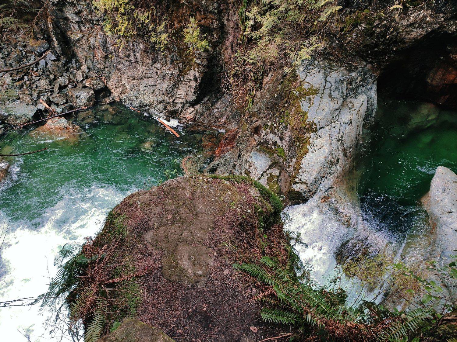 Photo #7507715