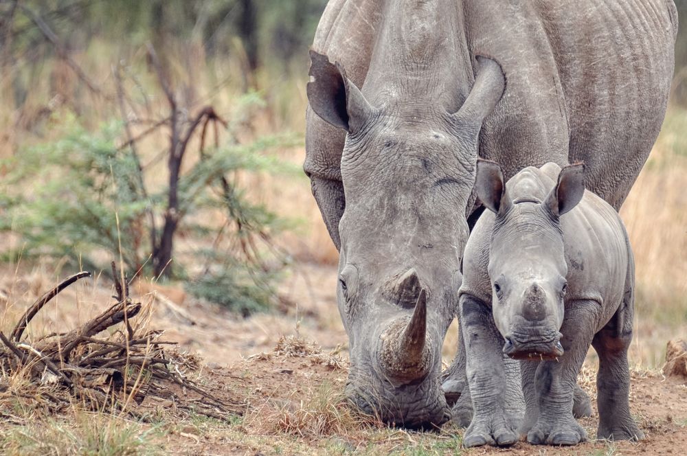 Photograph by Светлана Папшева