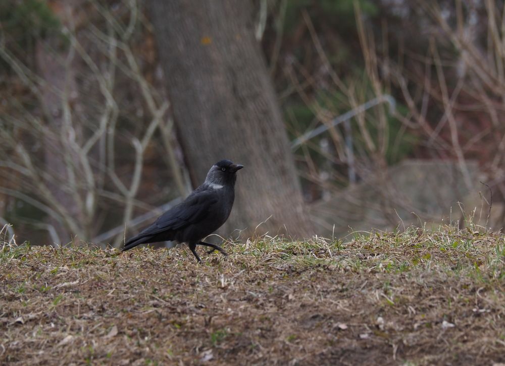Photograph by Андрей Михайлин