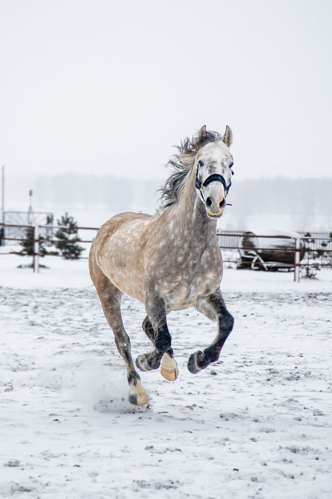 Фотография автора Сергей Князев