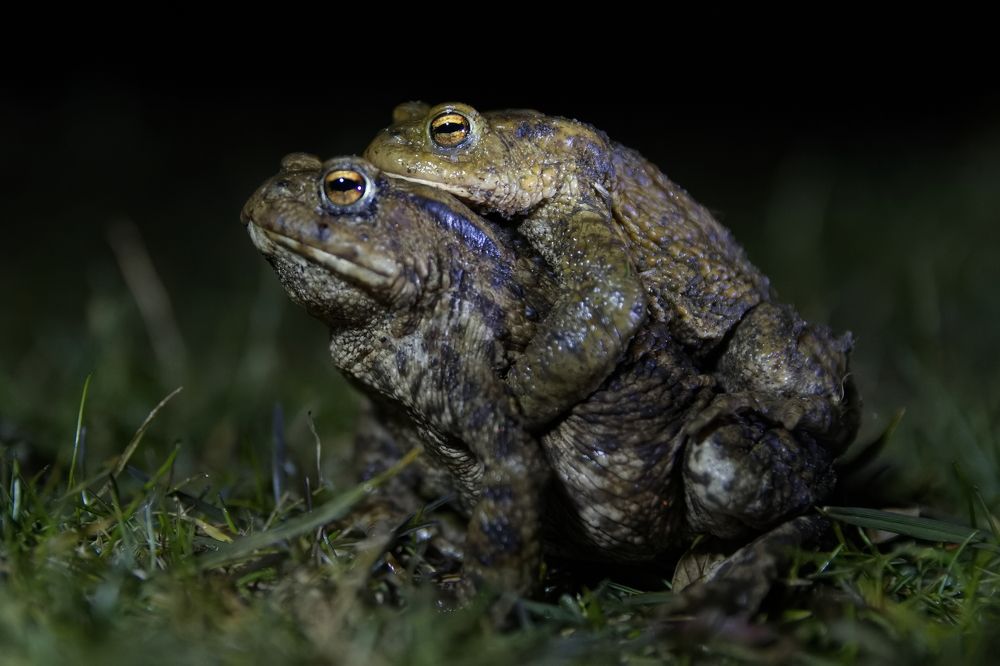 Photograph by Kim Dannerbo