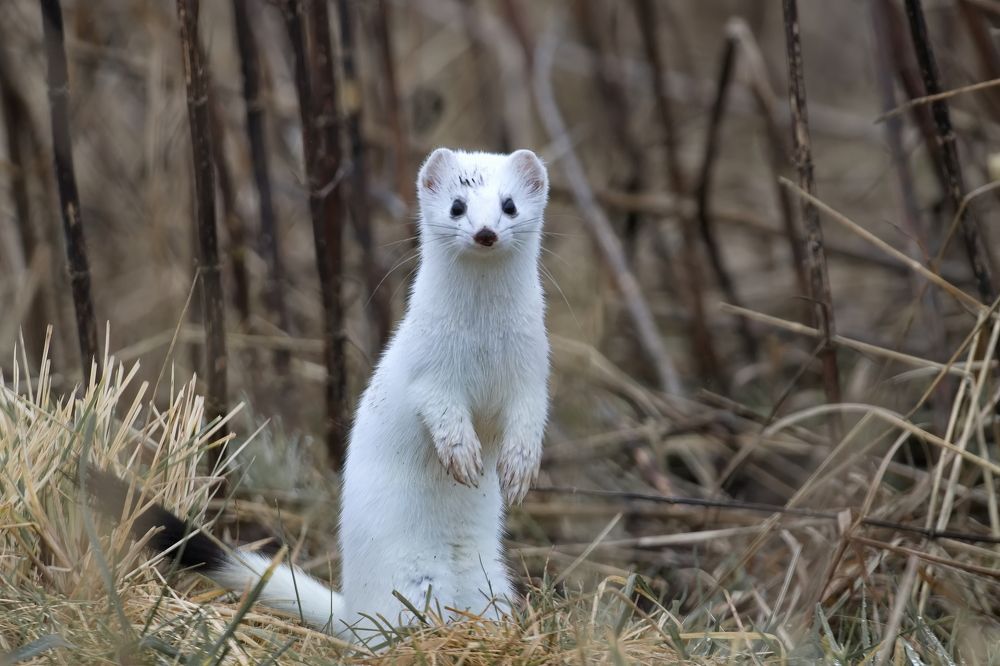 Photograph by Kim Dannerbo