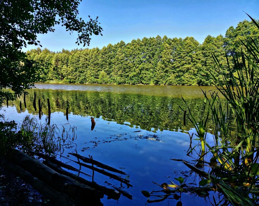 Photograph by Игорь Носков (Домненко)