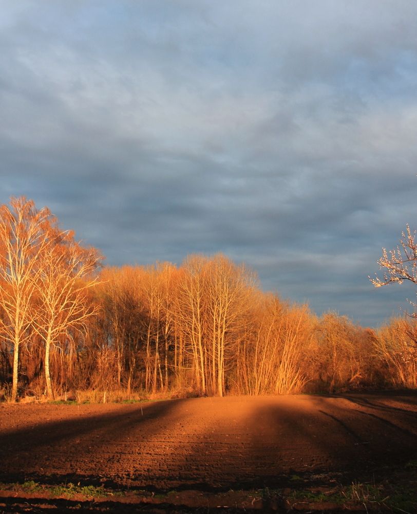 Фотография автора Алла Черноморская