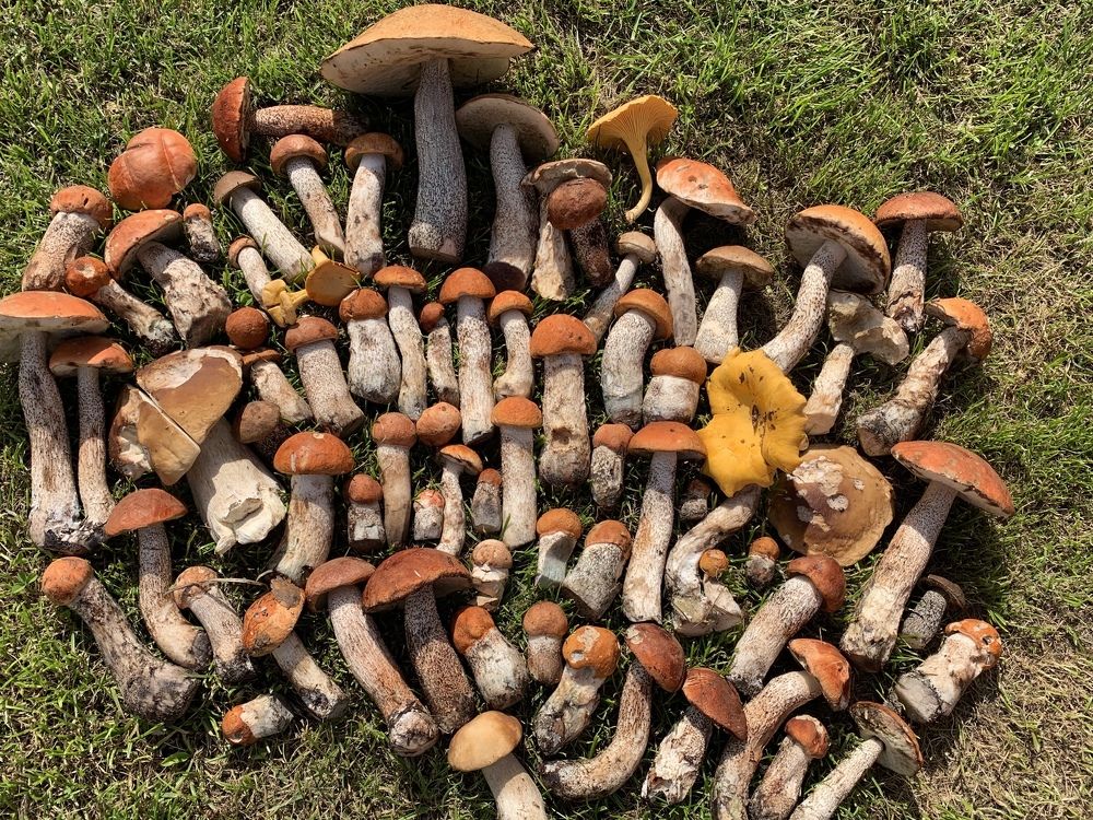 Photograph by Елена Киселева