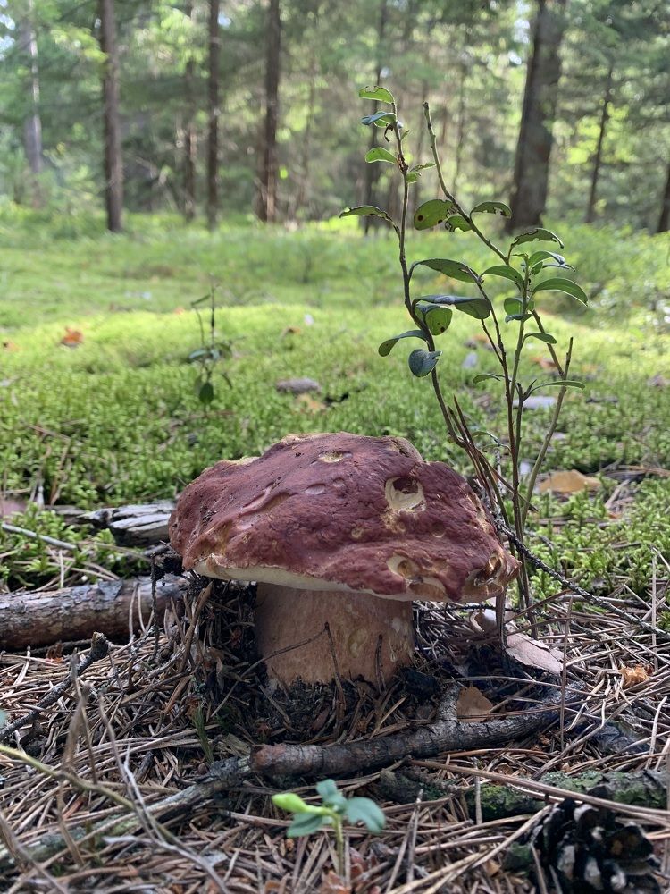 Photograph by Елена Киселева