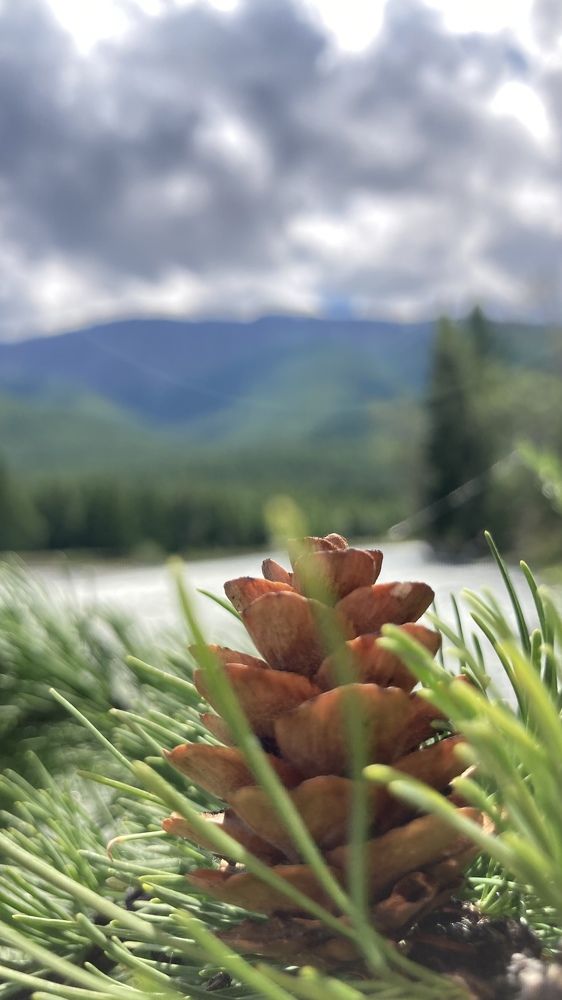 Photograph by Елена