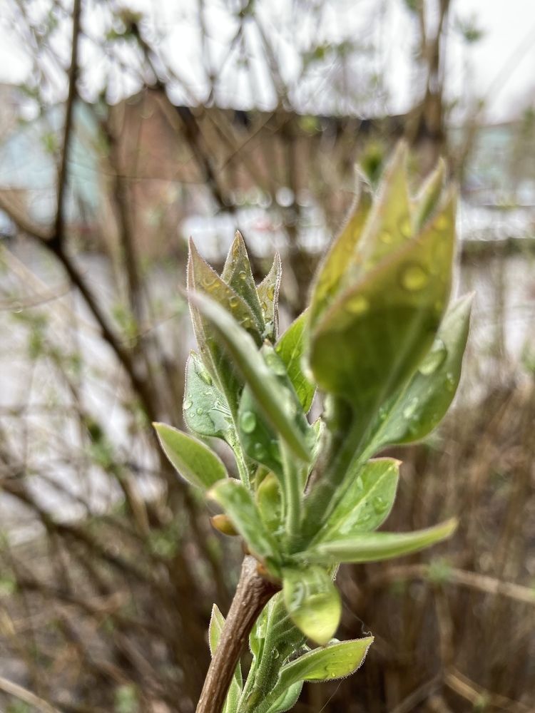 Photograph by Елена