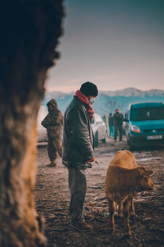 Faces of commodity market.