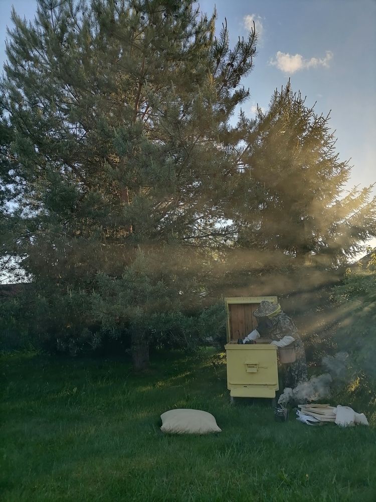 Photograph by Екатерина Якушкина