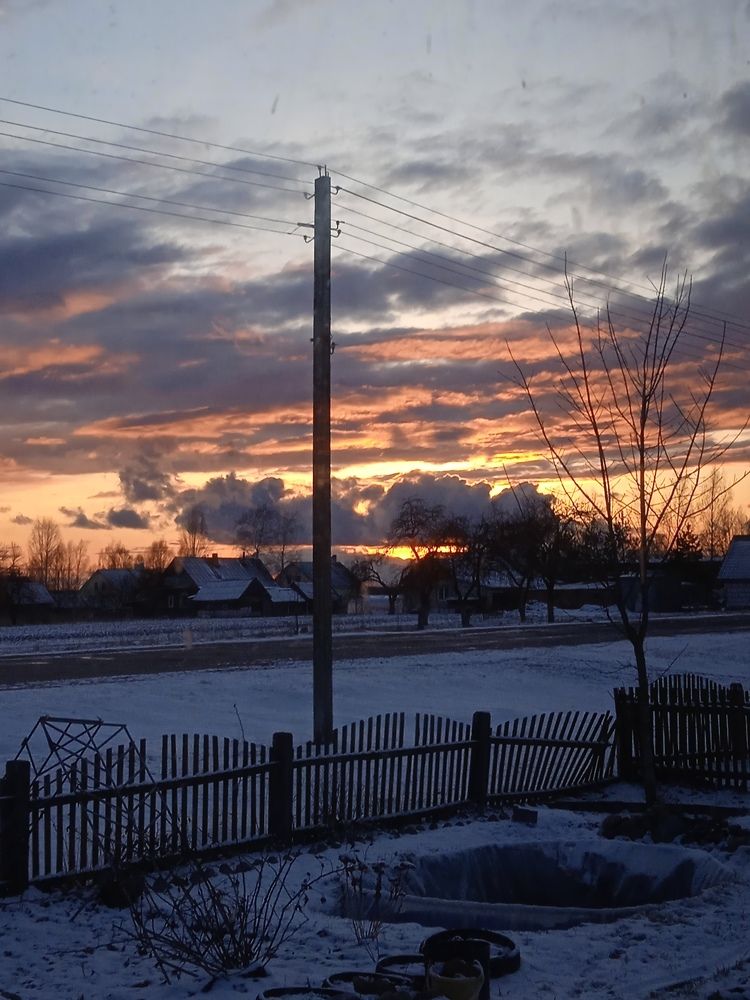 Photo #7508159