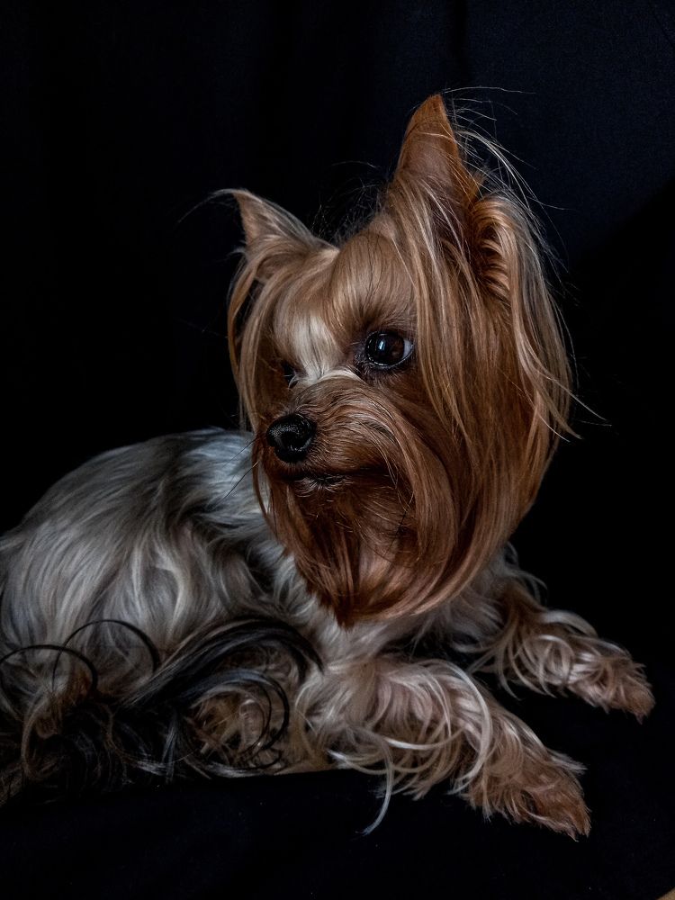 Photograph by Svetlana Yurasova