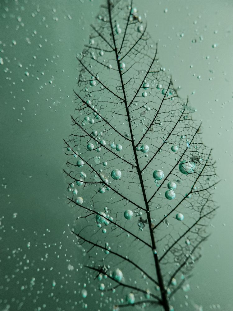 Photograph by Наталья Алексеева