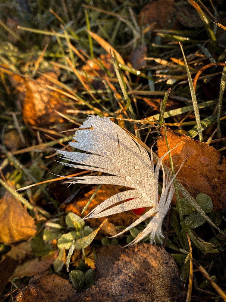 Photograph by Светлана Гришина