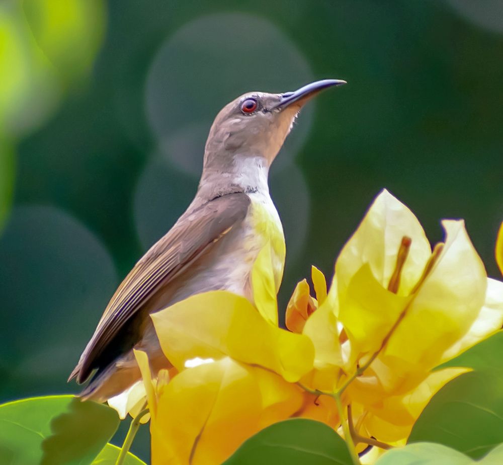 Photograph by RehanaAlpha