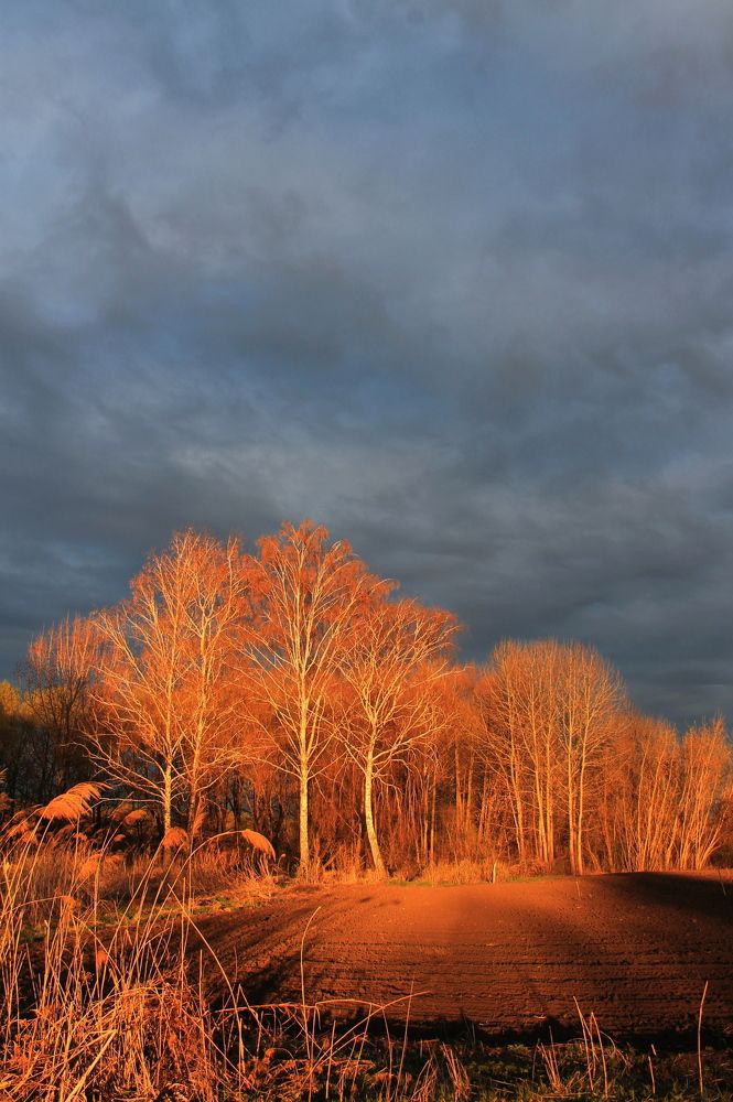 Фотография автора Алла Черноморская