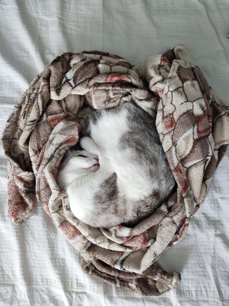 Photograph by Антон Ныскажу