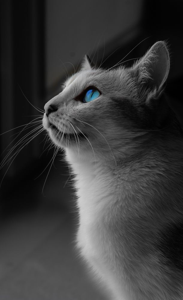 Photograph by Антон Ныскажу