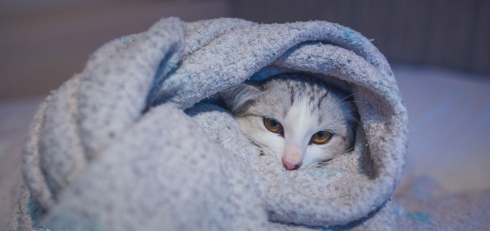 Photograph by Антон Ныскажу