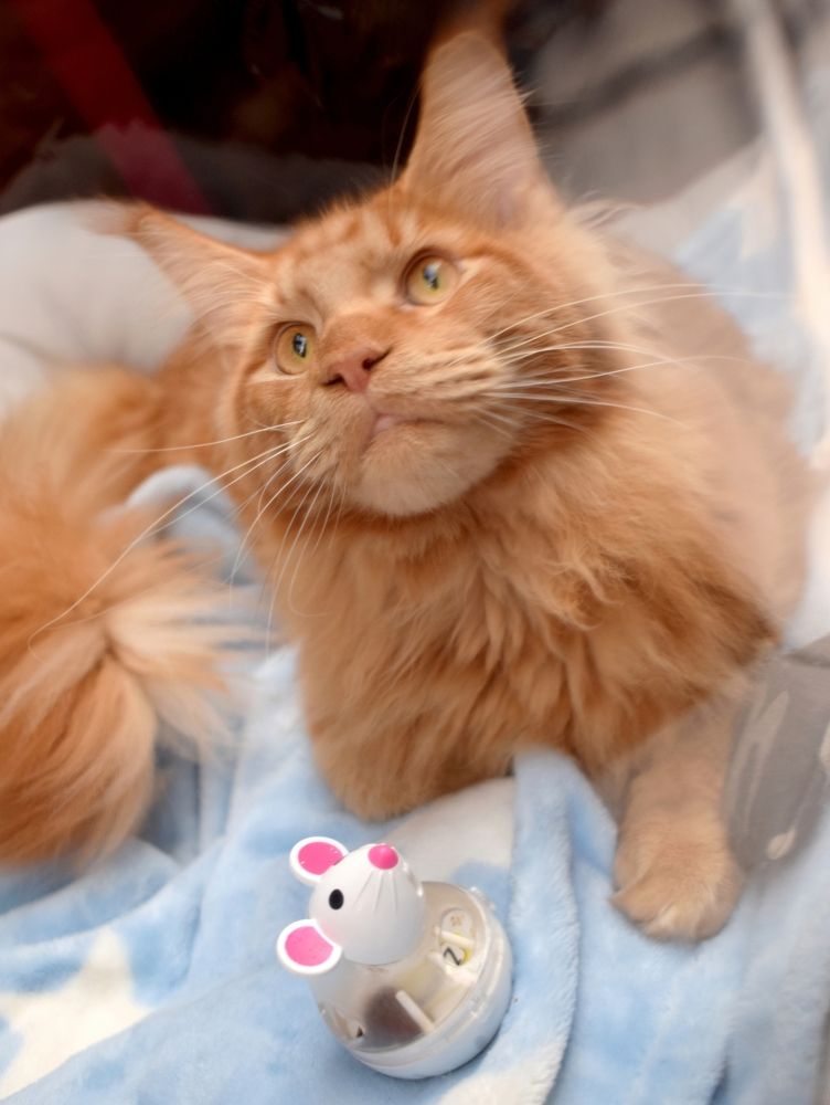 Photograph by Vyacheslav Popov