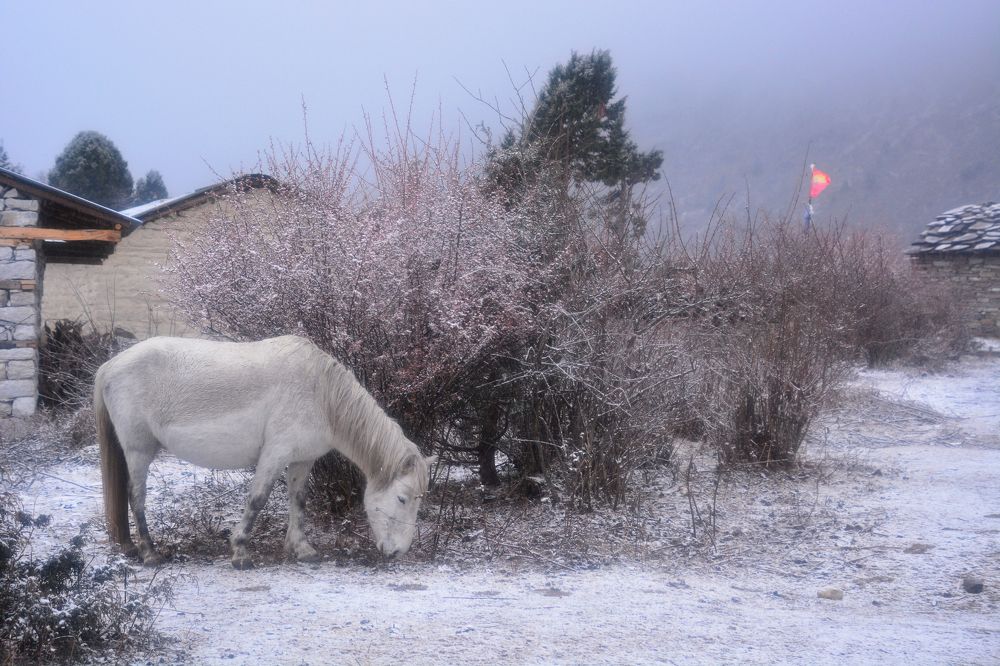 Photograph by Анатолий Орлов