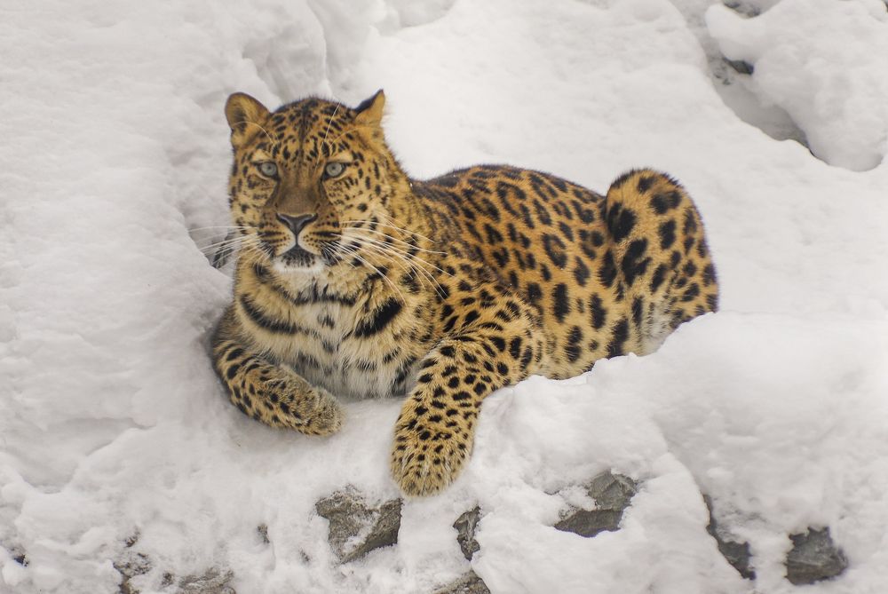 Photograph by Михаил Измайлов