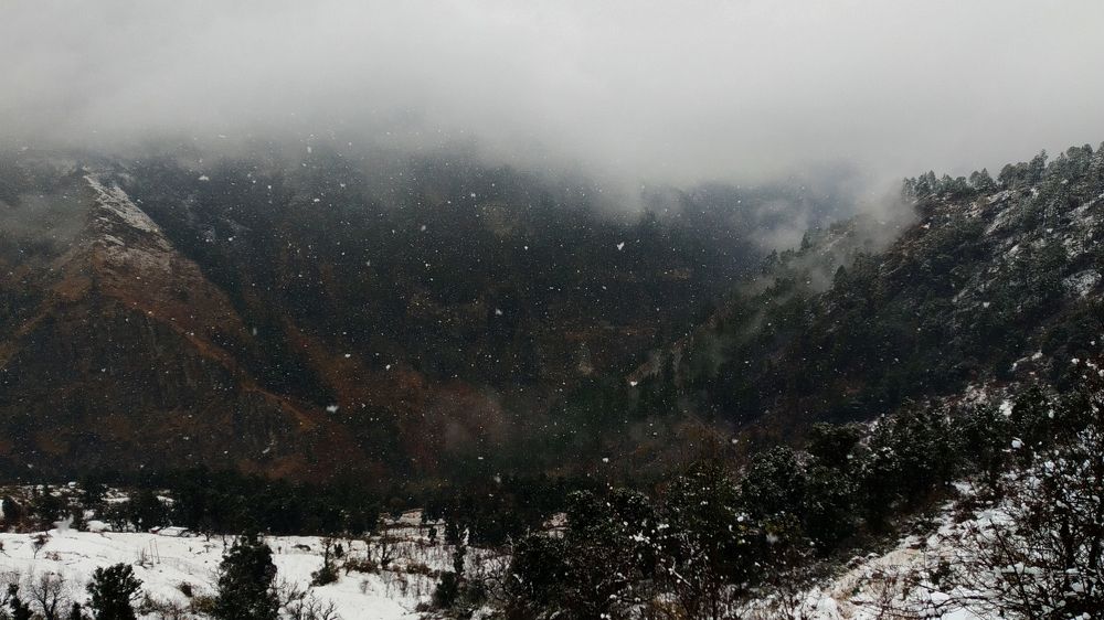 Photo #7508310