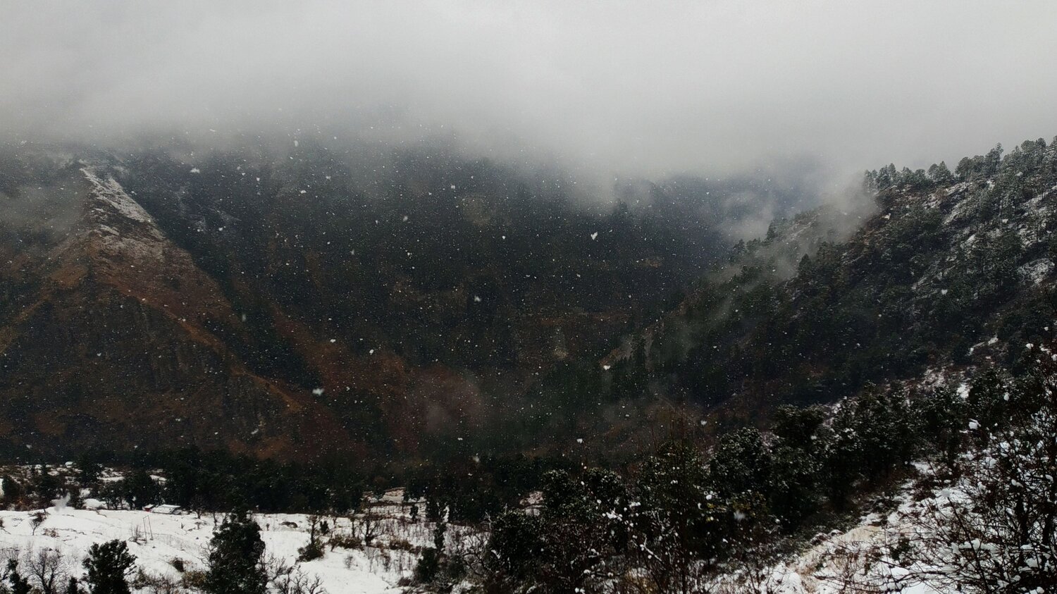 Photo #7508310