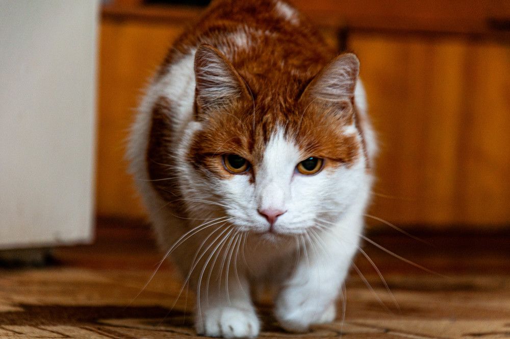 Photograph by Алексей Егоров