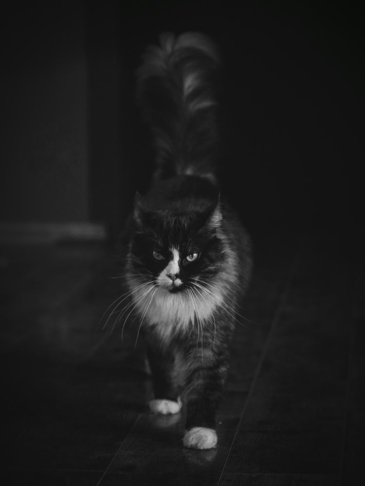 Photograph by Алёна Шматова