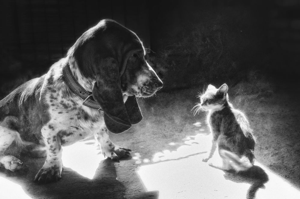 Фотография автора Виктория Литвиненко