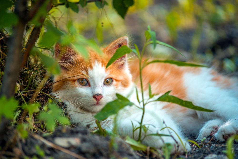 Photograph by Александр
