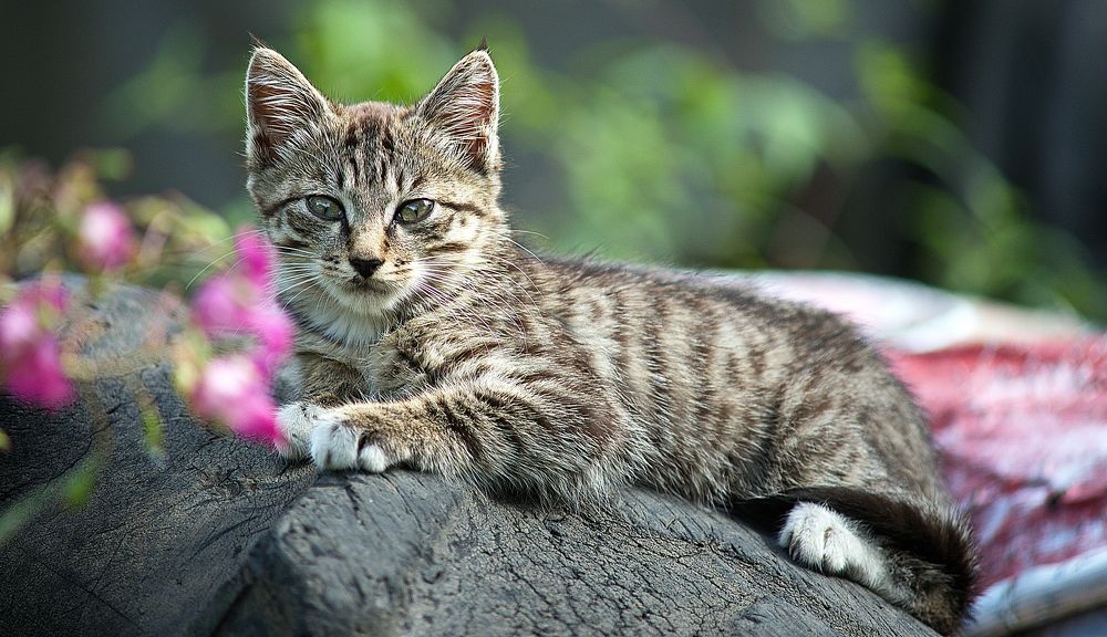 Photograph by Александр