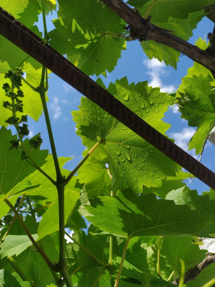 Photograph by Vladislav Bogatyrev