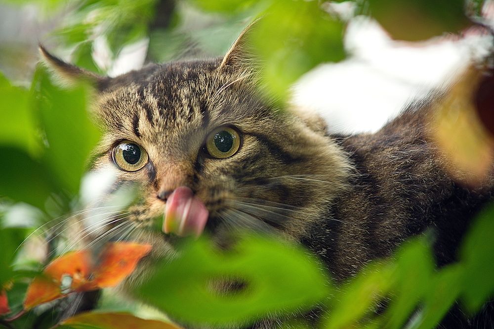 Photograph by Александр