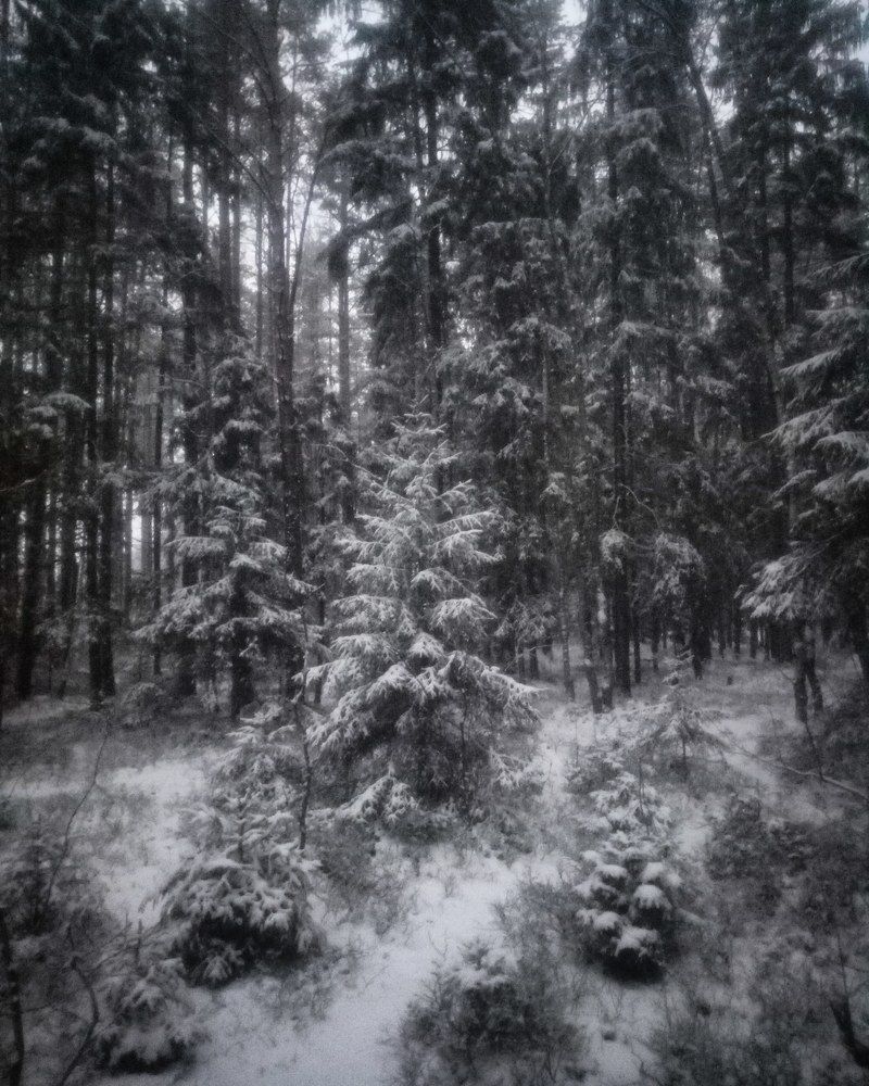 Photograph by Елена