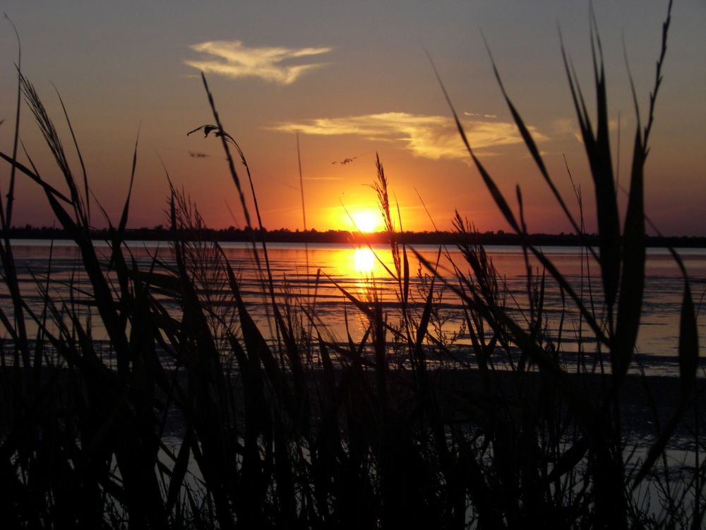 Photograph by Елена