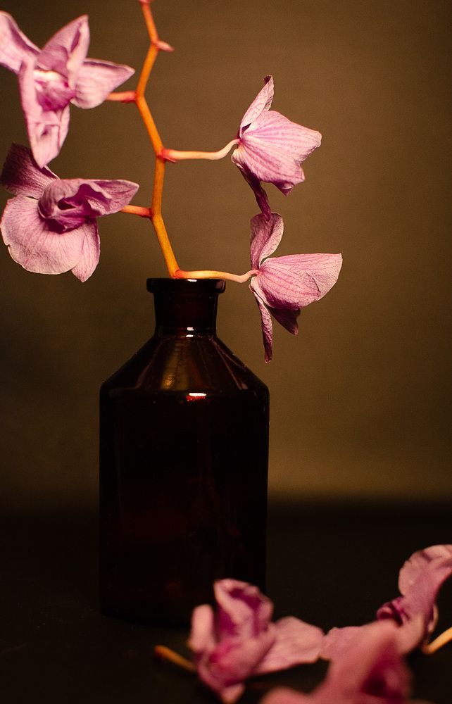 Photograph by Ольга Радько