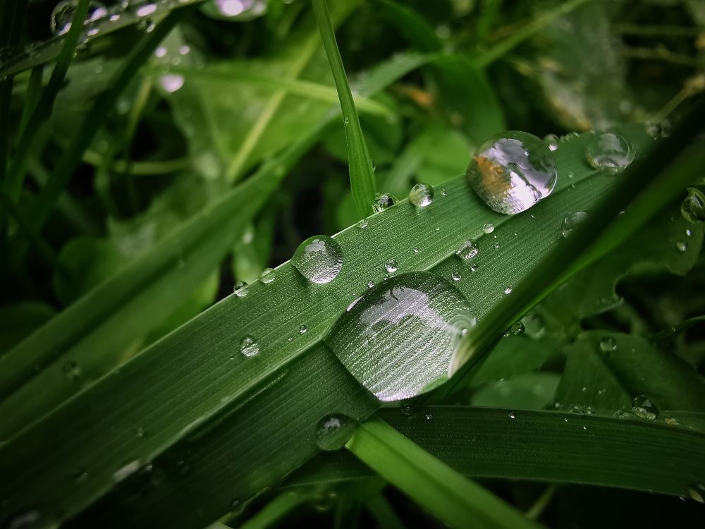 Photograph by Мария Колоскова