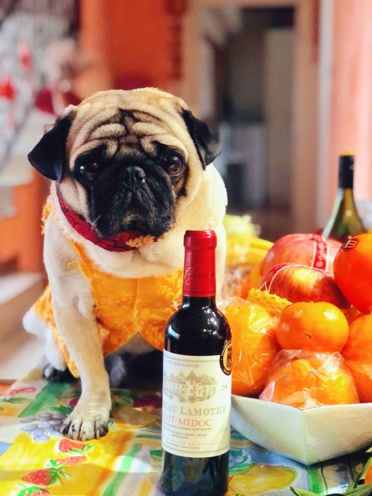 Photograph by Jonna Sabenorio