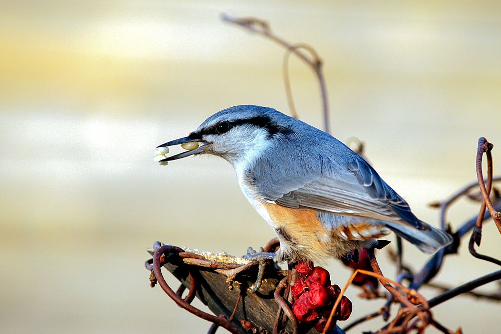 Photograph by Александр