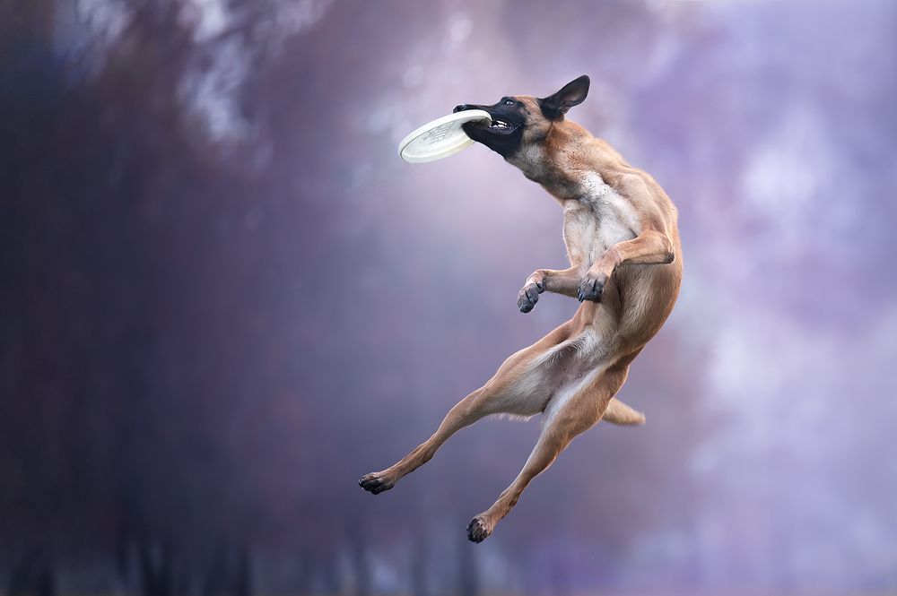 Photograph by Marcella Miriello