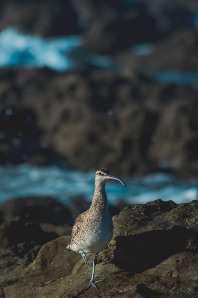 Photograph by Fabricio Segura