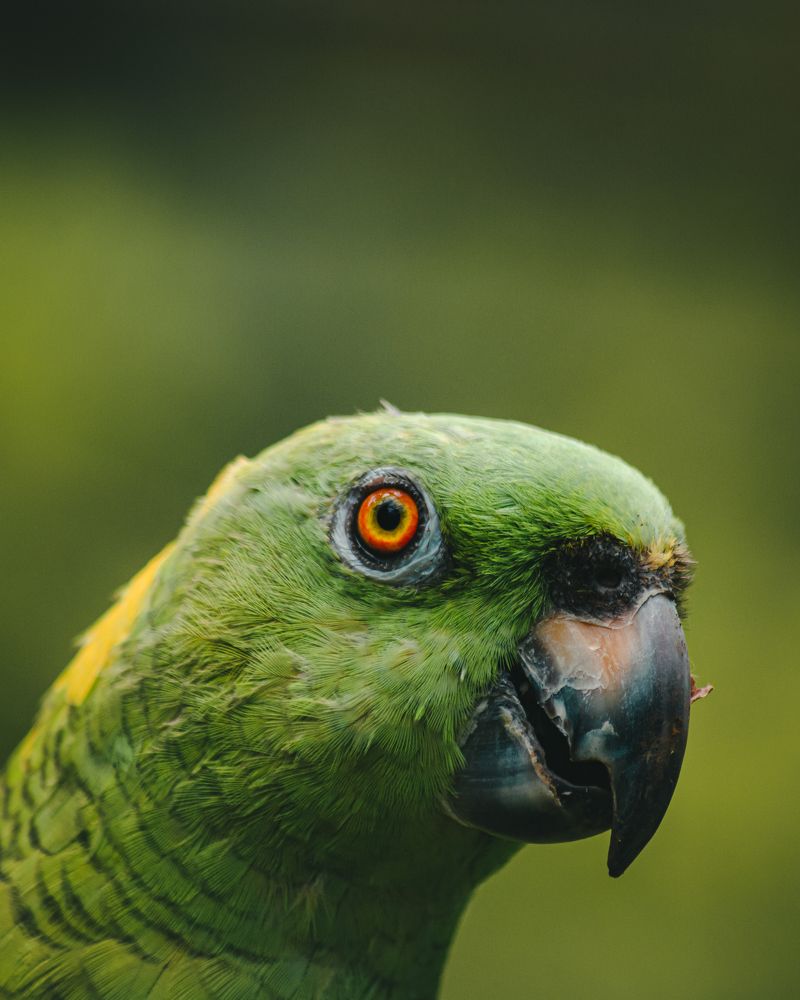 Photograph by Fabricio Segura