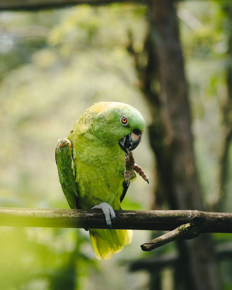 Photograph by Fabricio Segura