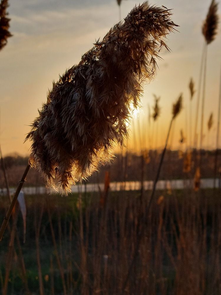 Photograph by Юлия Измерова